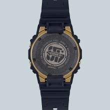 DW-5040PG-1ER