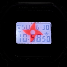 DW-5600NNJ-2ER