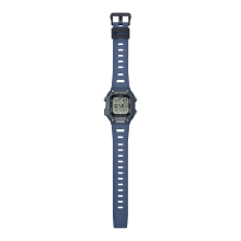 WS-B1000-2AVEF