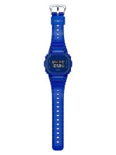 DW-5600SB-2ER