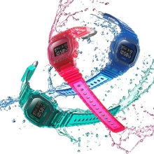 DW-5600SB-2ER