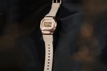 GM-S5600PG-4ER